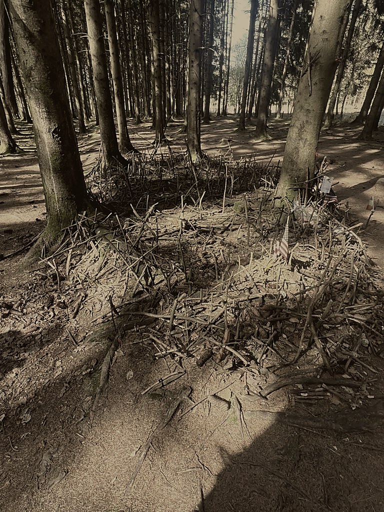 The foxholes of Bois Jacques as they look today, with an American flag